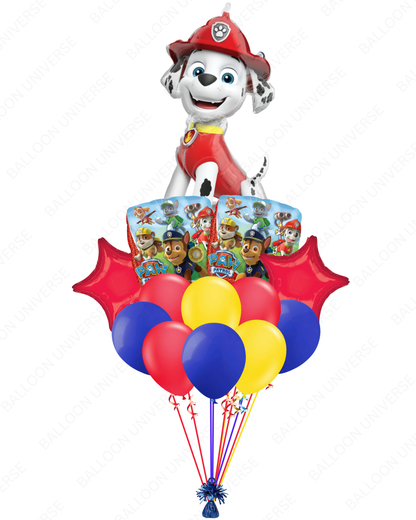 Marshall's Party Balloons!