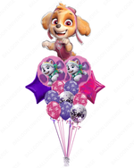 Skye & Everest Birthday Balloon Set (Helium-Filled)