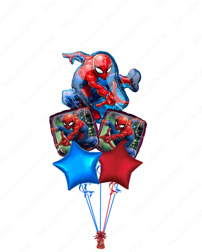 Spider-Man Adventure!