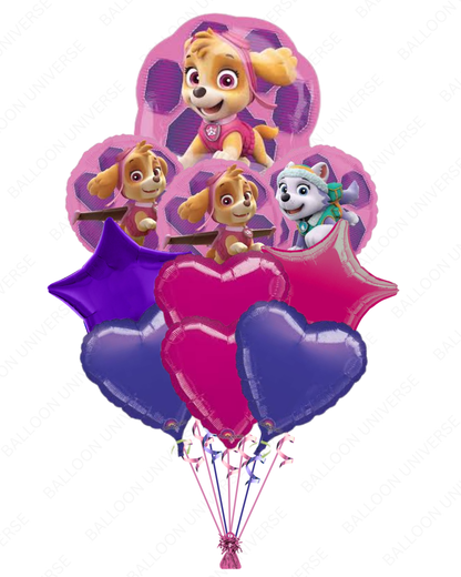 Paw Patrol Skye Balloon Set for Girls