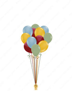 Multi-Color Latex Balloon Set