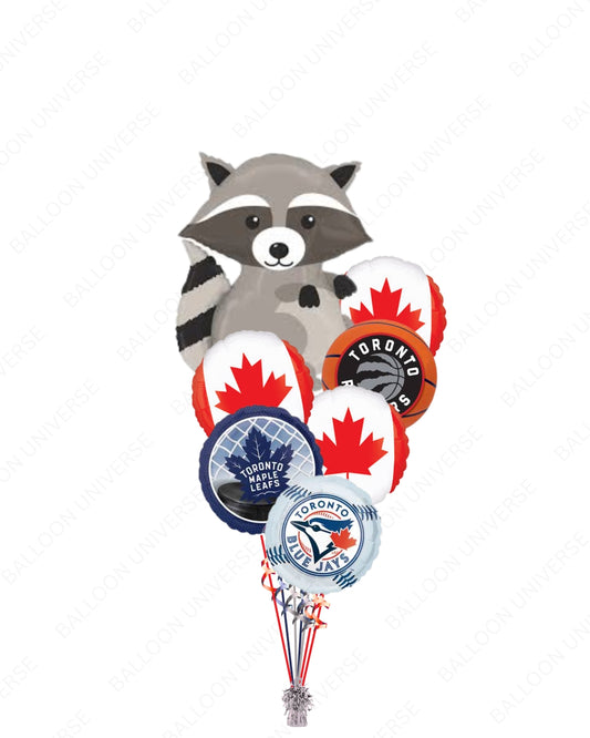 Welcome to Toronto - Balloon Bouquet