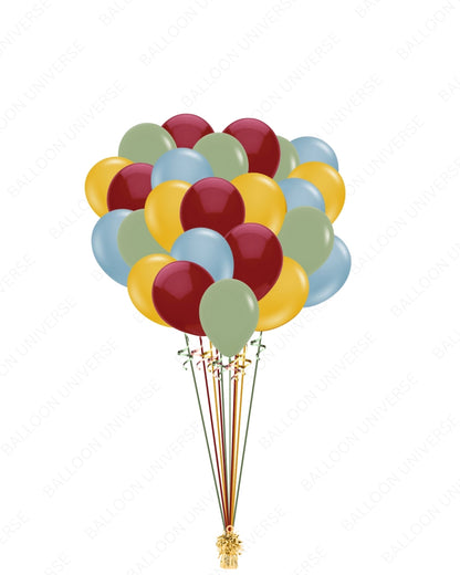 Multi-Color Latex Balloon Set